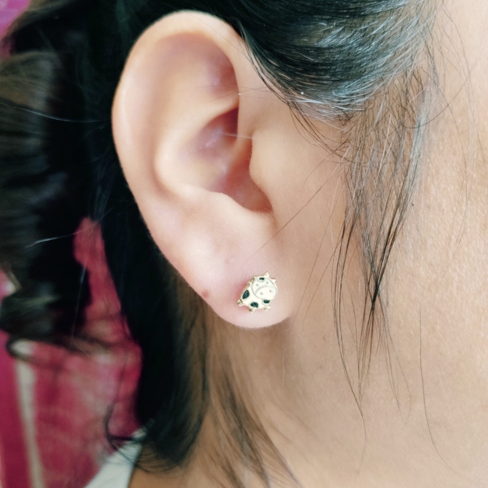 Gold (Cow) Stud